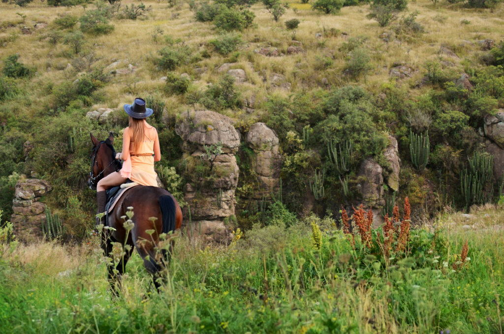 caballos